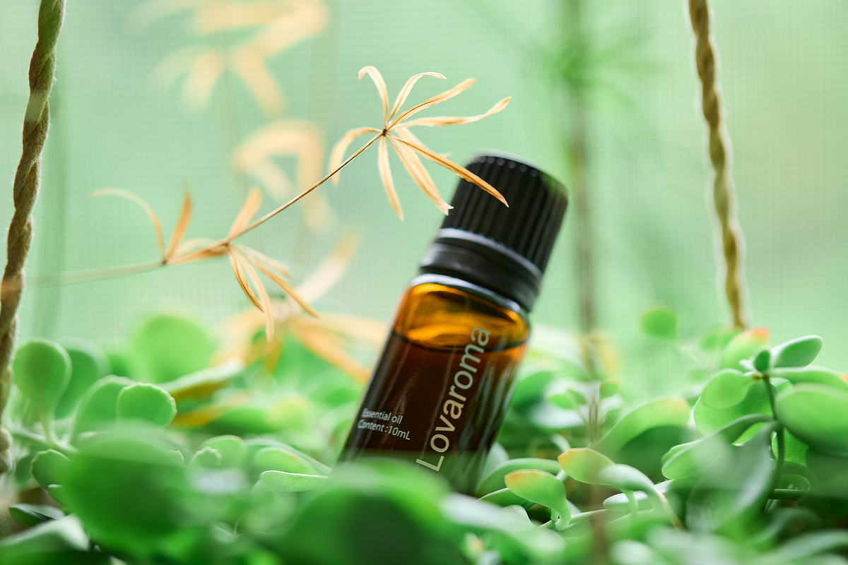 作動音は40db（デシベル）と、「図書館レベル」のささやかさ。｜家、車、お店、オフィス、いつでもどこでも使える。コードレス充電式のネブライザー型アロマディフューザー｜Lovaroma（ラバロマ）