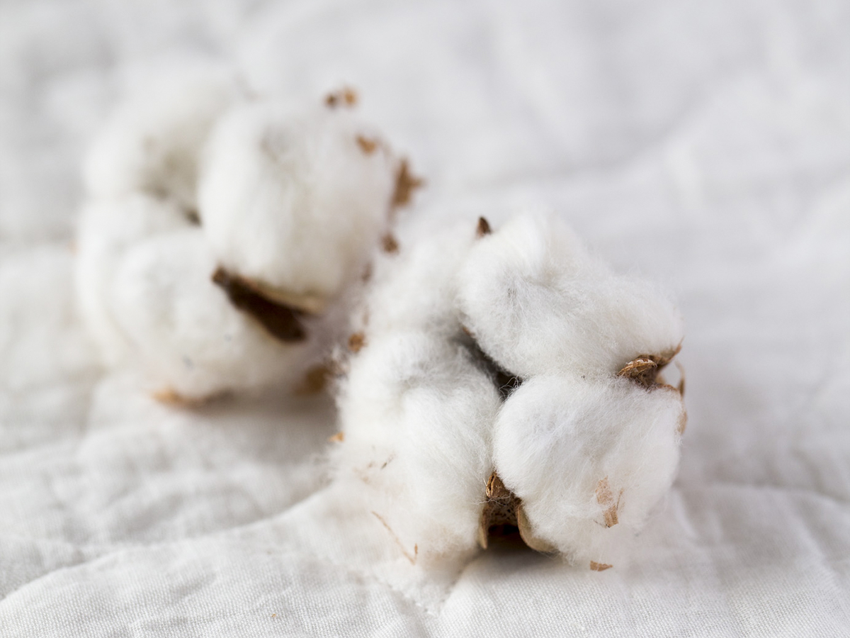 医療用の純度にまで磨きあげた「パシーマ」の脱脂綿を使った「キッチンふきん」| YARN HOME