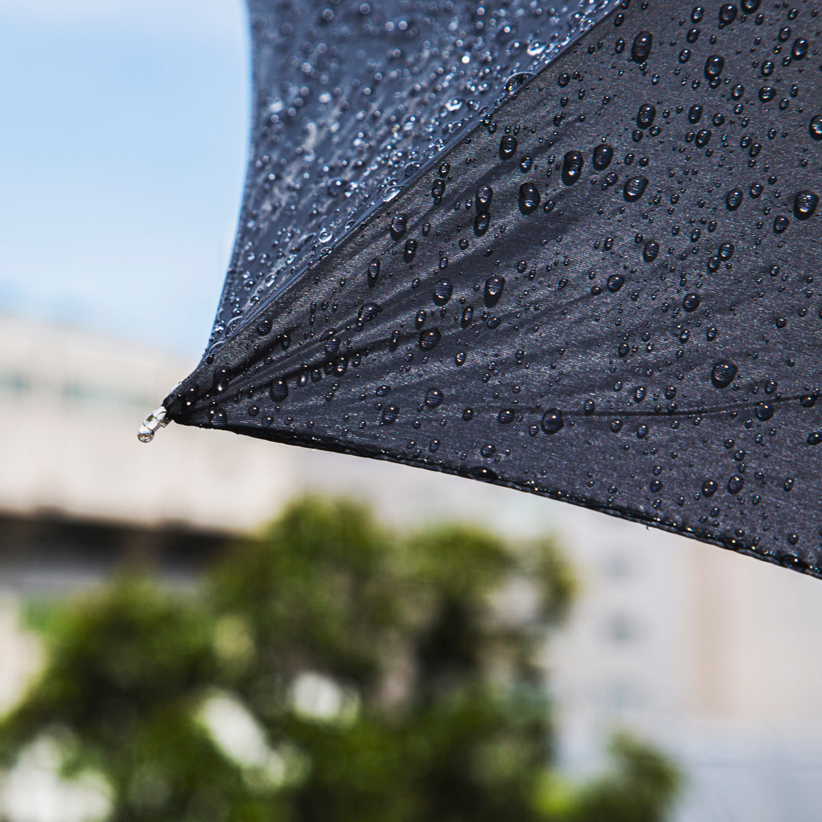 マイクロ傘の生みの親は、創業83年の老舗傘メーカー『スギタ』。昨今の豪雨にも耐えうる強度を保ちながら、携帯傘のサイズを限界まで小さく設計しました。折りたたみ傘「マイクロ傘」|スギタ