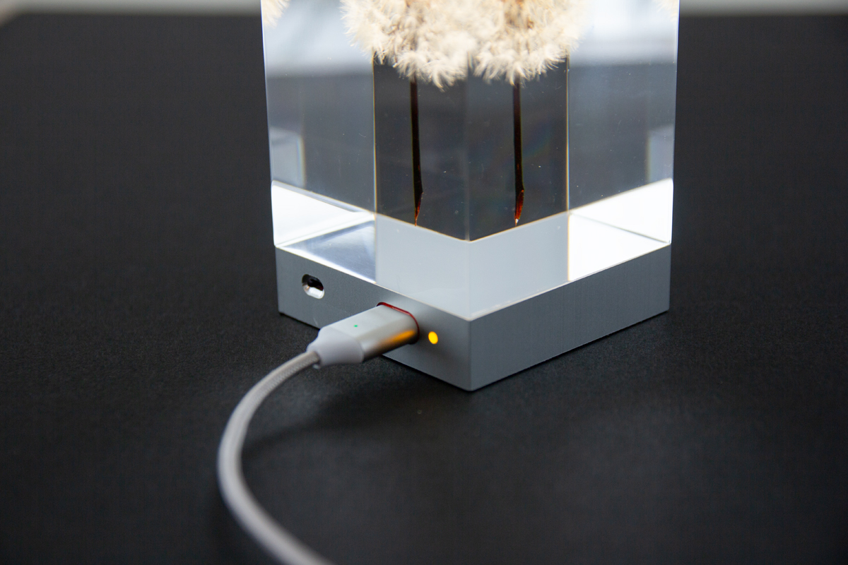 たんぽぽの表情が楽しめるゆらぎ照明のアクリルオブジェ | OLED TAMPOPO LIGHT by TAKAO INOUE
