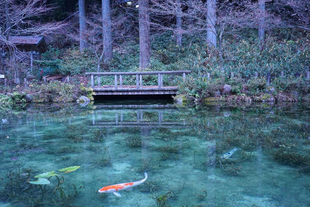 水面の反射をカットし撮りたい写真が鮮やかになる、iPhoneで使えるプロが使うレンズアクセサリー「CPLフィルター」 | ShiftCam 2.0