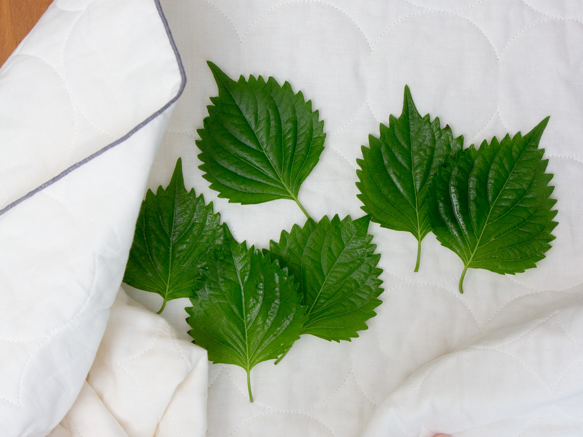 野菜の水切り|3層構造の綿が水分を一発で掴む!吸水・速乾性に優れた、毛羽がつかない「キッチンふきん」| YARN HOME