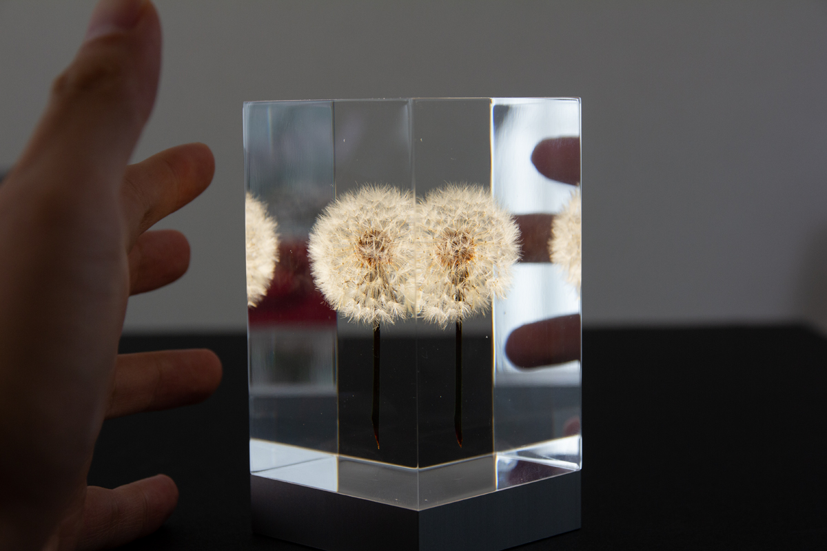 1.生花のたんぽぽを閉じ込めたゆらぎ照明・アクリルオブジェ | OLED TAMPOPO LIGHT by TAKAO INOUE