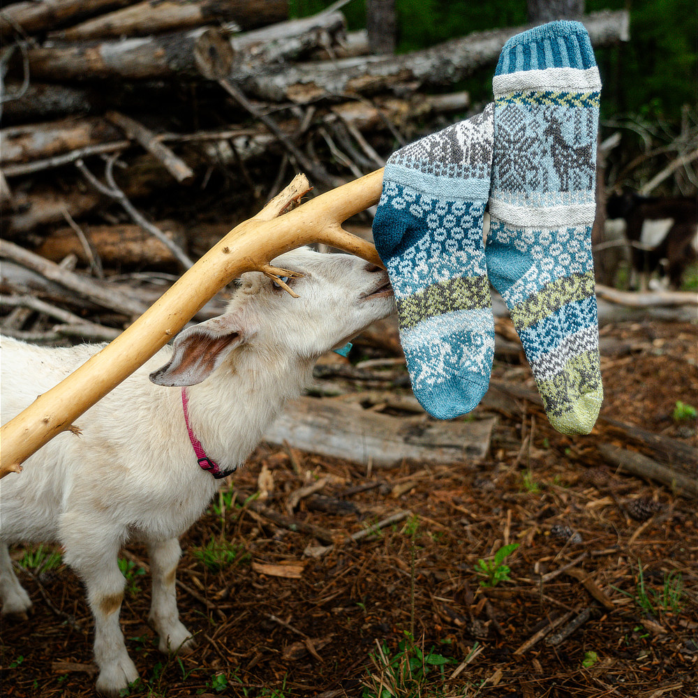 楽しい、かわいい、チャリティーソックス｜SOLMATE SOCKS（ソルメイトソックス）