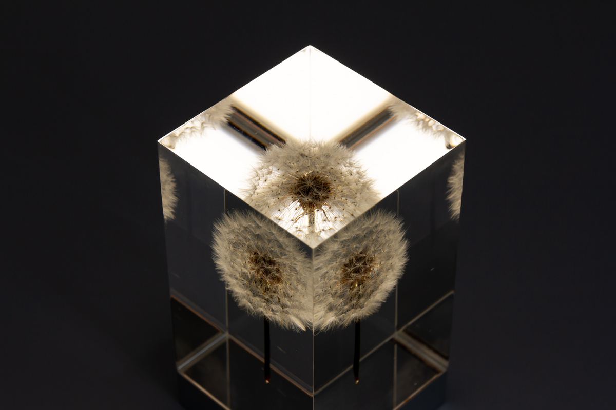 自然光に近い光の有機ELを使用した照明・アクリルオブジェ | OLED TAMPOPO LIGHT by TAKAO INOUE