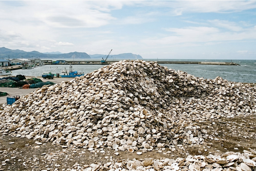 ECOCERT認証 界面活性剤フリー 洗浄・消臭・除菌1本3役のオーガニック洗剤|Shell we clean(シャルウィクリーン)