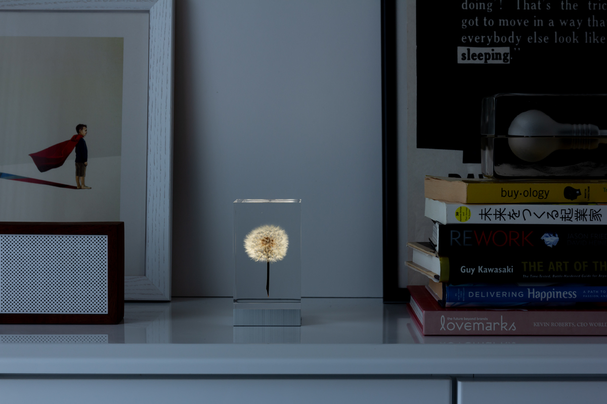 耐久性が高く、ガラスのように透明なアクリルオブジェ | OLED TAMPOPO LIGHT by TAKAO INOUE