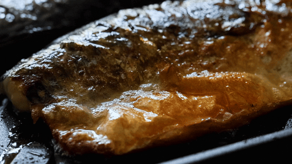 いつもの焼き魚が、驚くほどおいしい!フライパン感覚でコンロで使える、外パリッ、中ふわっと焼きあがる「炭プレート」|万能調理器具「スミイタグリル」・炭(カーボン)プレート|あやせものづくり研究会 Ayase Labo(カーボン加工専門メーカー旭工業)