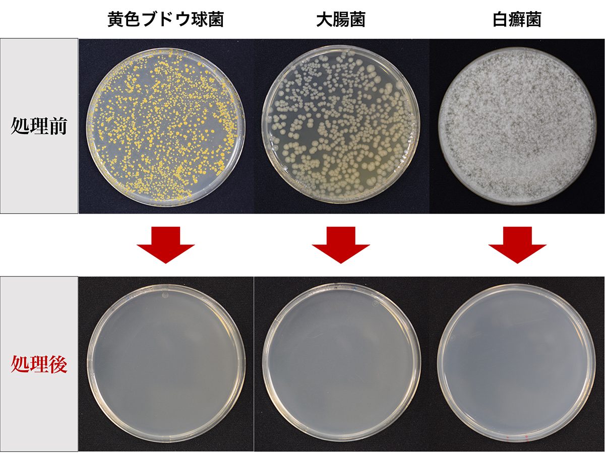 有害物質をゼロに。「水銀を使わないUVランプ」で、菌をここまで除菌。日本初、特許のUVランプでウイルス・菌を不活化させる「オゾン発生器・間接照明ランプ」|RoomiAir