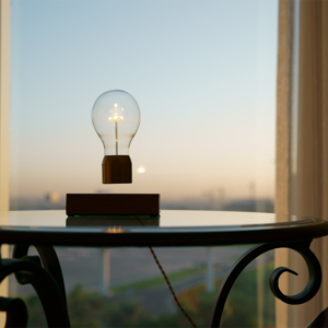 【再度お値下げ】FLYTE　フライト　照明　マンハッタン ライト 間接照明 FLYTE Manhattan | THT Japan