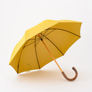 雨傘 長傘 大人の女性が持ちたい 色鮮やかな雨傘 Bon Bon Store Monoco