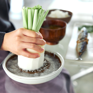 大 直径18cm 職人が選別した99粒の セラミック乱刃 食卓へそのまま出したくなる石見焼の おろし器 もとしげ Monoco