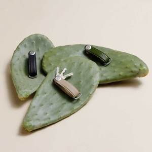 サボテンレザー もうドア前で迷わない 幅2cmに7本の鍵が収まるスリムな キーケース Orbitkey Monoco