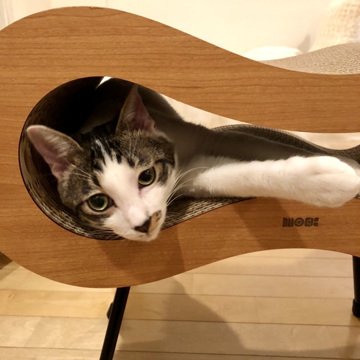 作品名『爪を研ぐ猫』｜《スツールMidi》思いっきりガリガリしても研ぎカスがほぼ出ない、爪研ぎ家具｜MOCK things by hand