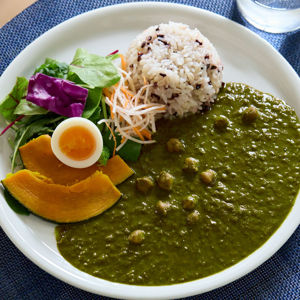 《単品》ヴィーガン＆グルテンフリー、レトルトなのにカラダ想い、本格的味わいの「クロレラベジカレー」