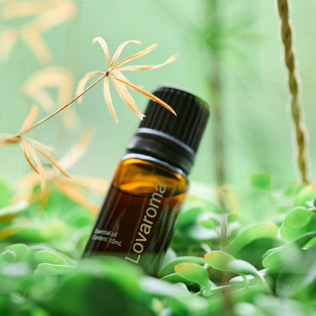 いつでもどこでも、「香りタンブラー」｜《ブレンド精油単品（クリアモード・ドライブ・ハーバルシトラス）》天然精油100％、オリジナルブレンドのエッセンシャルオイル｜Lovaroma