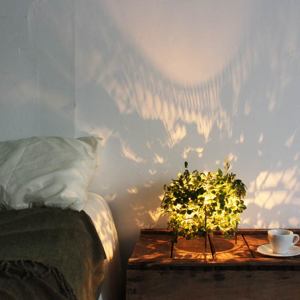 【30,800円→15,400円】空間に木漏れ日をつくるOrlandテーブルランプ｜DI CLASSE