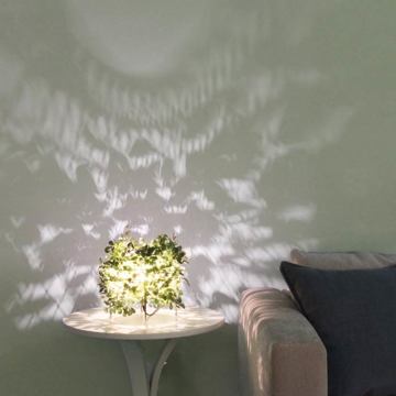 BLACK FRIDAY  2025｜【30,800円→15,400円】空間に木漏れ日をつくるOrlandテーブルランプ｜DI CLASSE