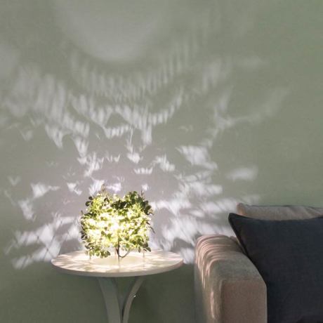 BLACK FRIDAY  2025｜【30,800円→15,400円】空間に木漏れ日をつくるOrlandテーブルランプ｜DI CLASSE