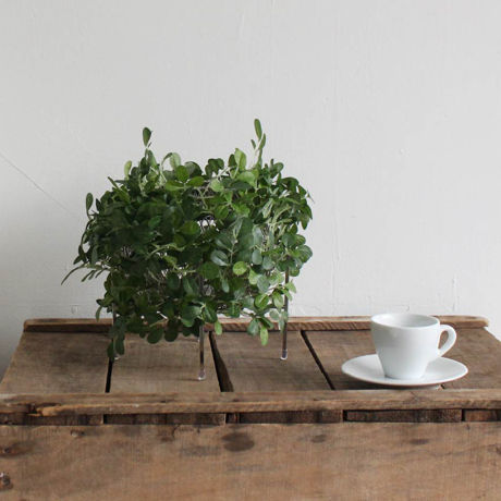 BLACK FRIDAY  2025｜【30,800円→15,400円】空間に木漏れ日をつくるOrlandテーブルランプ｜DI CLASSE