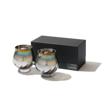 いつものお酒に、惚れ直す｜《ワイングラス／2個組》オーロラの光彩で眼福を、まろやかな味わいで口福をもたらす、純チタンコーティンググラス｜PROGRESS プログレス