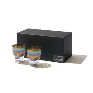 《盃／2個セット》オーロラの光彩で眼福を、まろやかな味わいで口福をもたらす、「純チタン」コーティンググラス｜PROGRESS プログレス