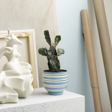 MONOCO OUTLET｜【6,820円→4,774円】デンマーク発、植物までインテリアになる「手描きストライプの植木鉢」｜Kähler