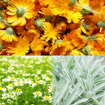 MONOCO OUTLET｜【2,200円→1,540円】デリケートゾーンに柔軟性とうるおいを与える「バランシングオイル」 ｜MAMA BUTTER