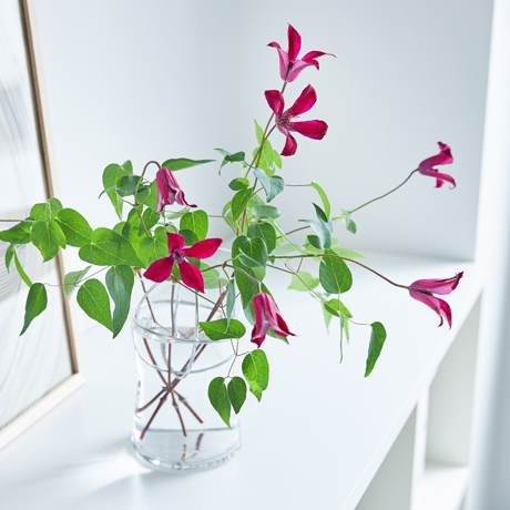 個性的&おしゃれなプレゼントなら被らない！おすすめ15選｜ユニークなプレゼントを予算別にご紹介