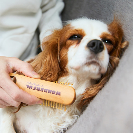 ママ友宅への、お菓子以外のおすすめ手土産15選|プチ贅沢なフード&ドリンク、便利な雑貨など