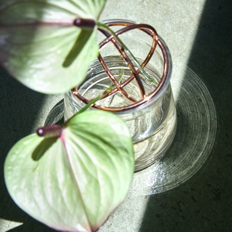 花に“自由”なバランスを｜1本から飾れる花留めボール入り