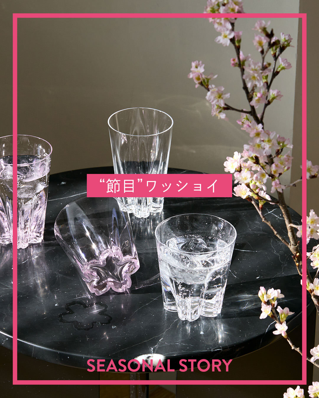 MONOCO（モノコ）